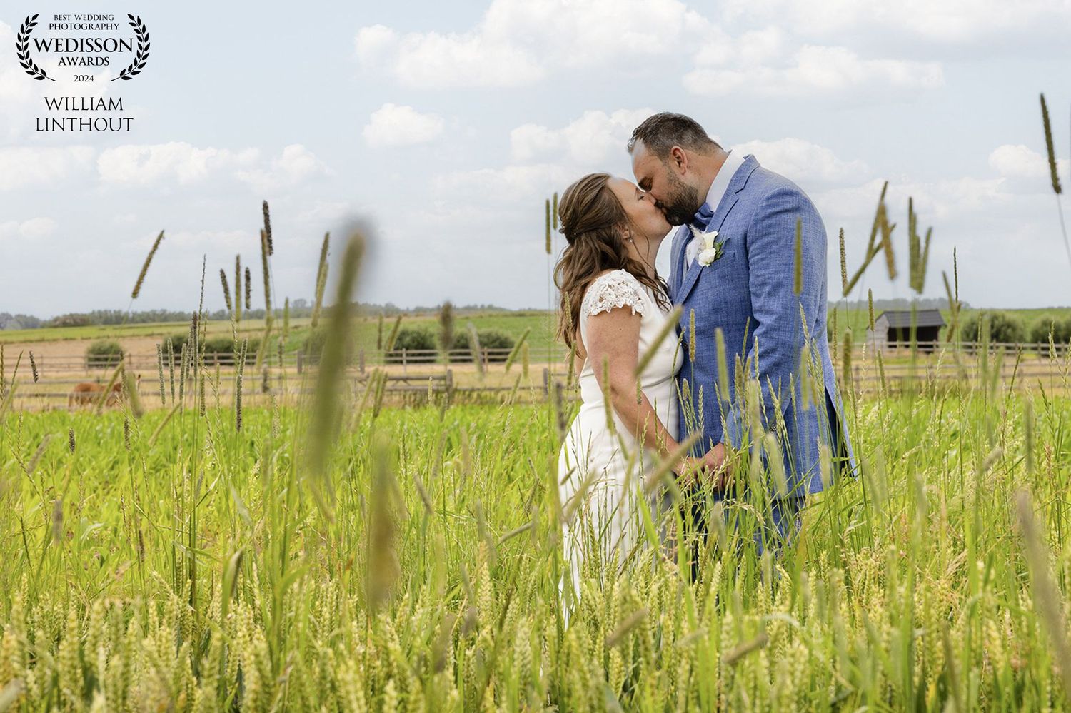 A romantic wedding portrait of a couple embracing in a sunlit field with tall grass.