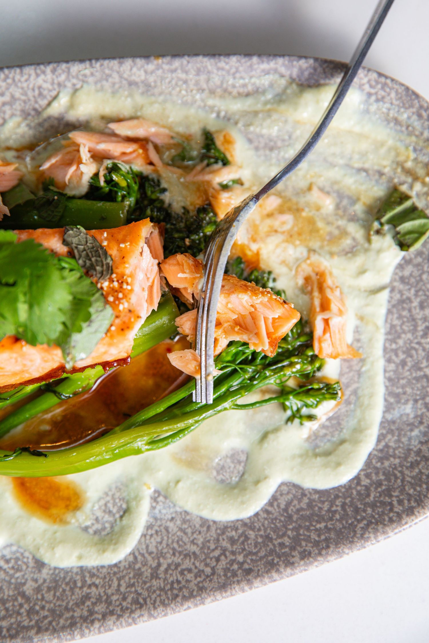 Grilled salmon with broccolini served on an elegant scalloped plate with sauce.