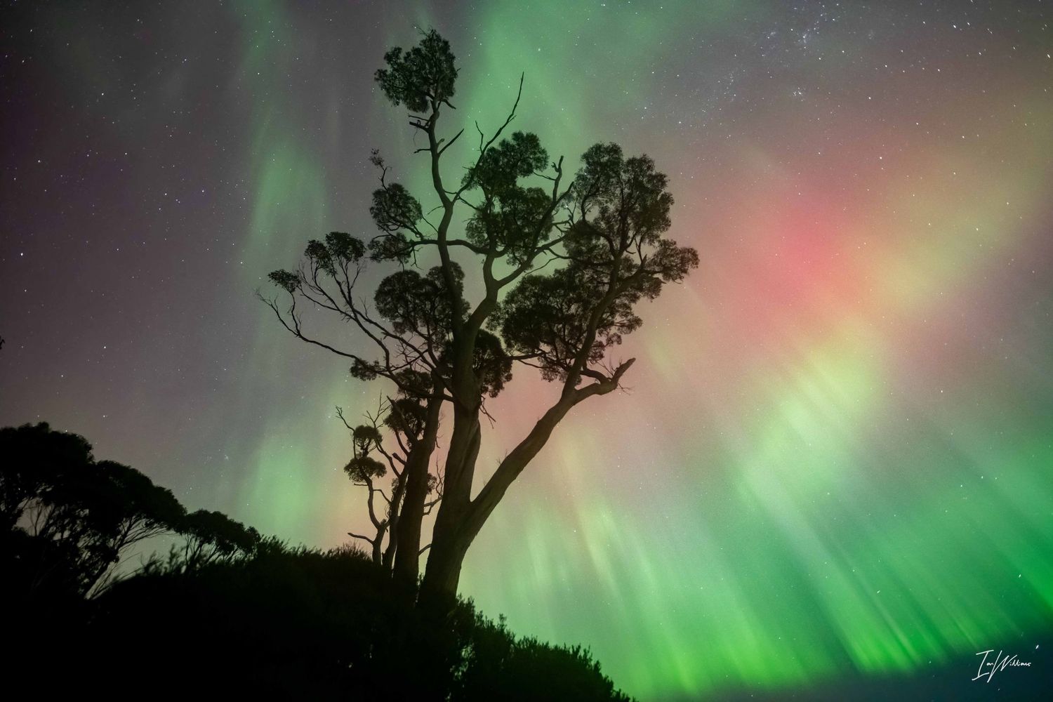 Aurora Australis, Tasmania, 11 May 2024
