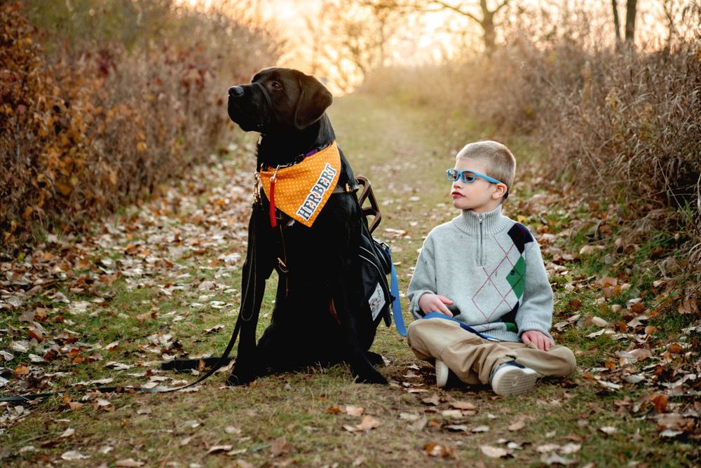 Boy with a service dog exploring outdoors in a lush green field, wearing casual clothing – outdoor child portrait session in Woodbury MN