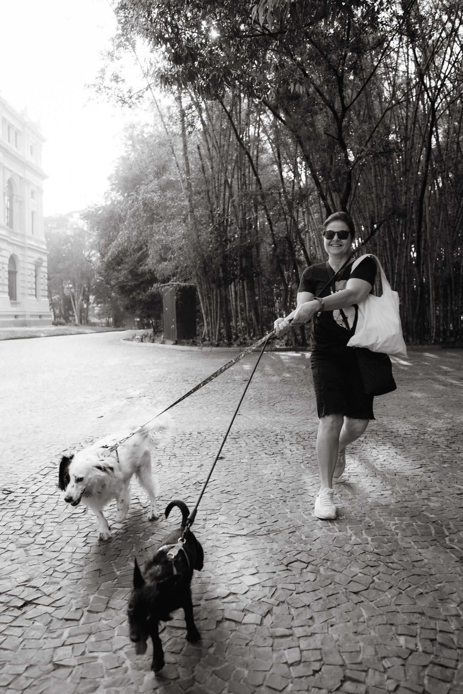 Couple walking dogs along a cobblestone path lined with trees.