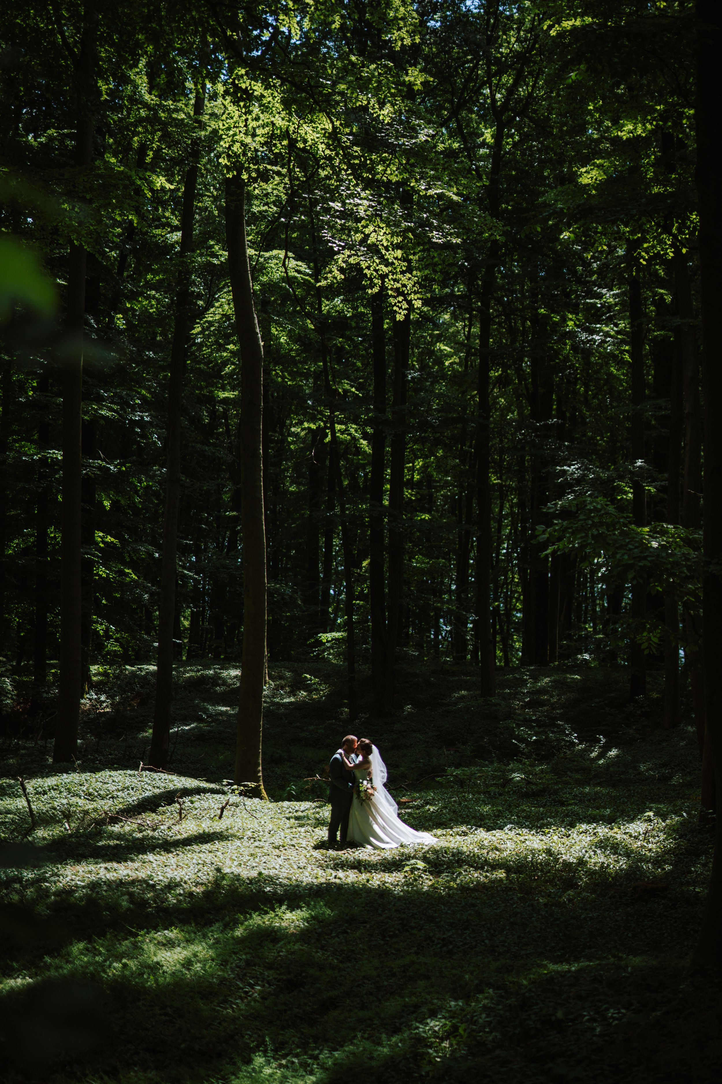 Dramatic forest wedding photo with sunlight streaming through trees.