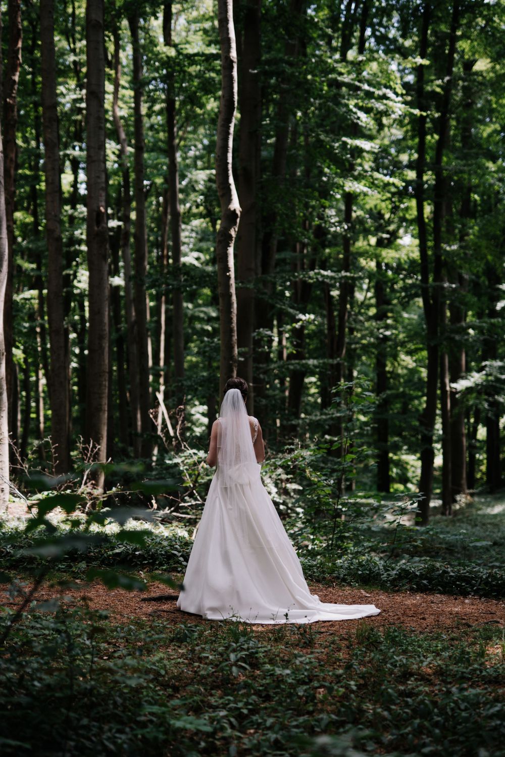 A stunning bridal portrait series in a wooded setting showcasing a flowing white wedding dress.