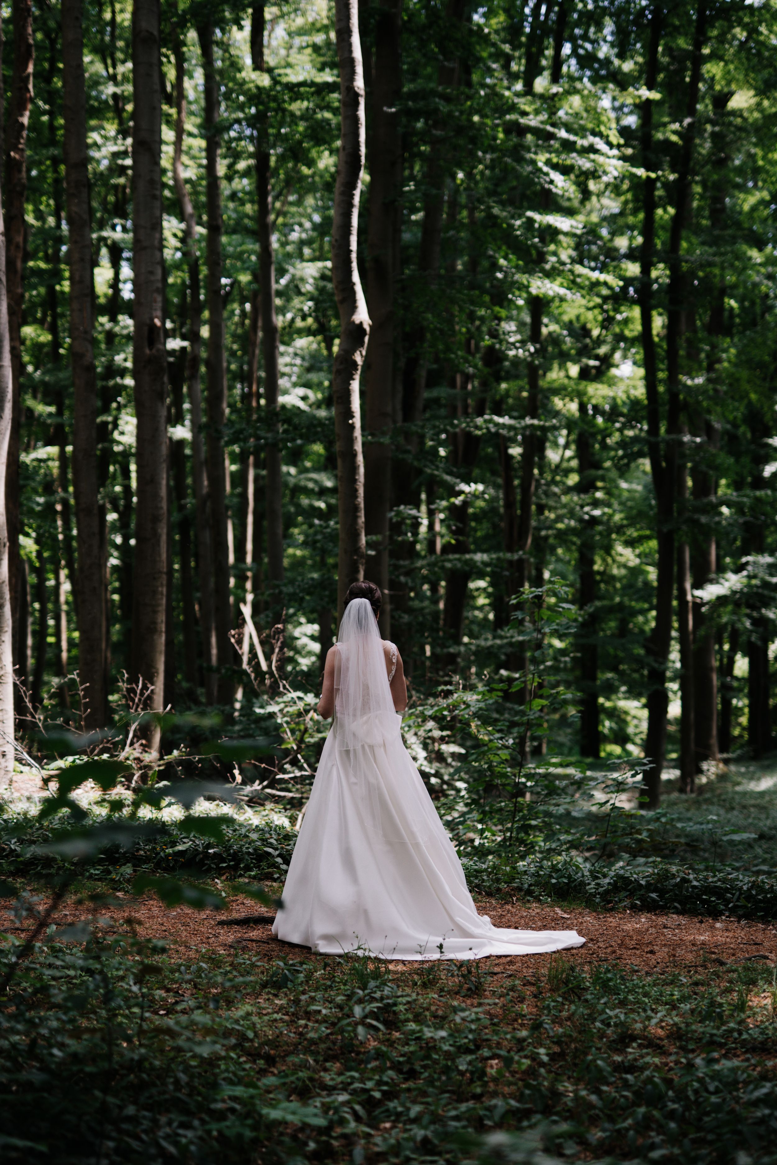 A stunning bridal portrait series in a wooded setting showcasing a flowing white wedding dress.