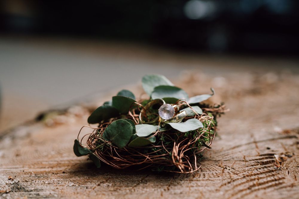Small rustic nest made of twigs and eucalyptus leaves on wooden surface.