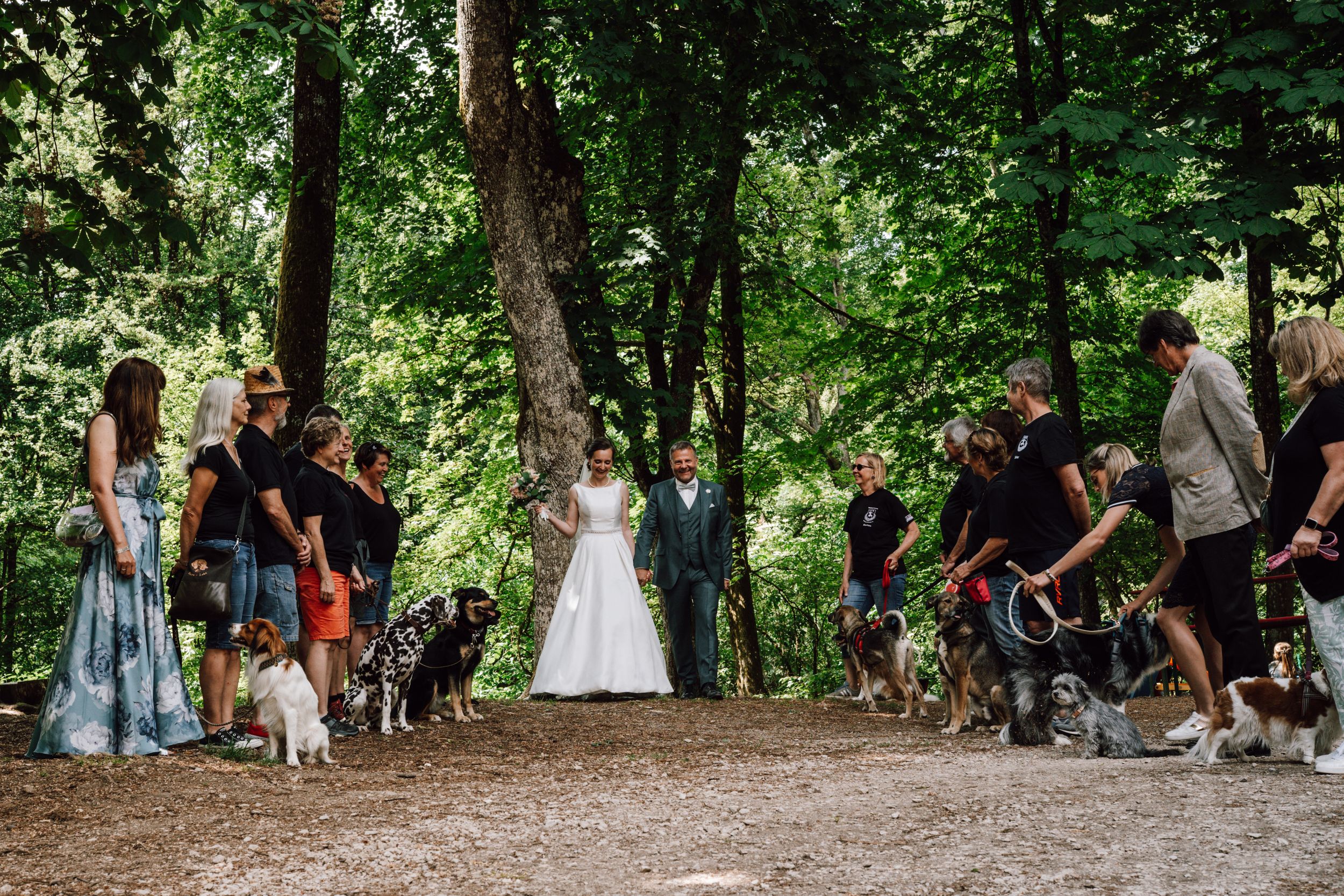 A wooded outdoor gathering with people standing along a tree-lined path.