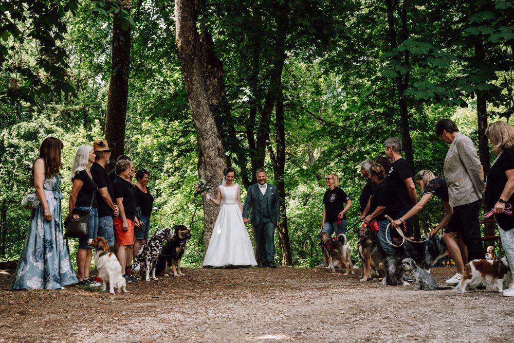 A wooded outdoor gathering with people standing along a tree-lined path.