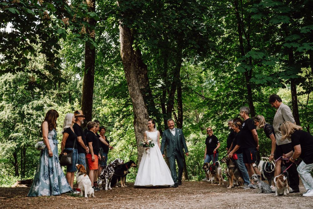 A scenic woodland path filled with wedding guests and greenery.
