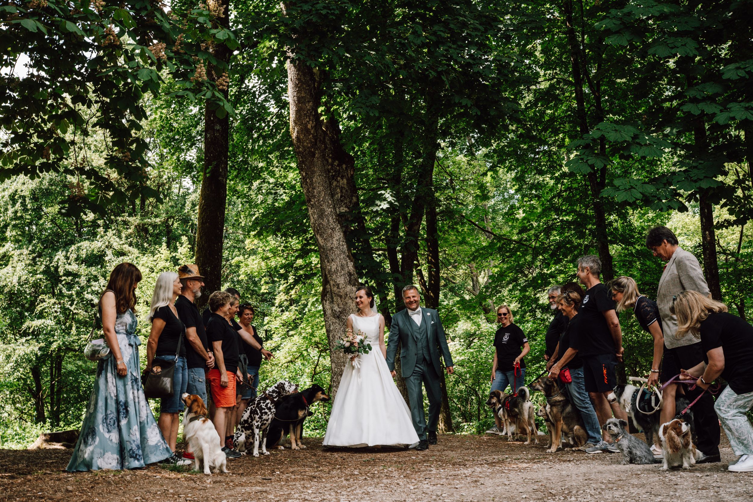 A scenic woodland path filled with wedding guests and greenery.