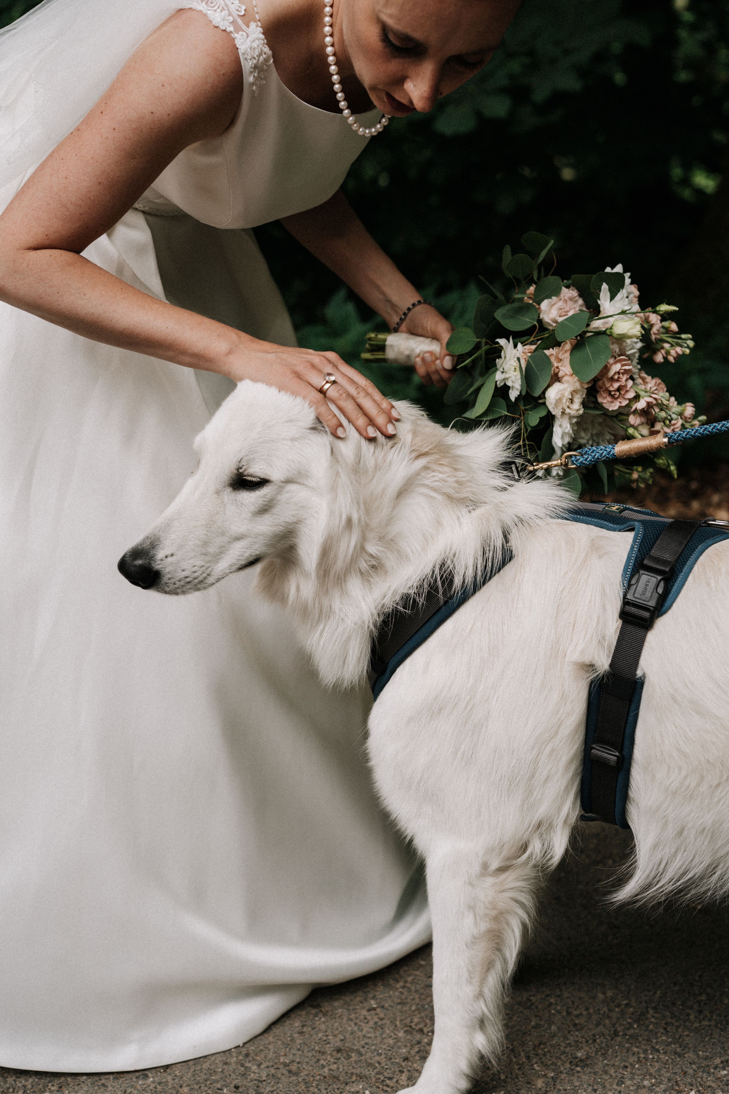 A white-gowned person pets a fluffy white dog wearing a black harness during a wedding celebration.