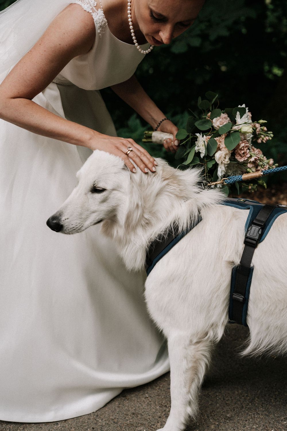 A white-gowned person pets a fluffy white dog wearing a black harness during a wedding celebration.
