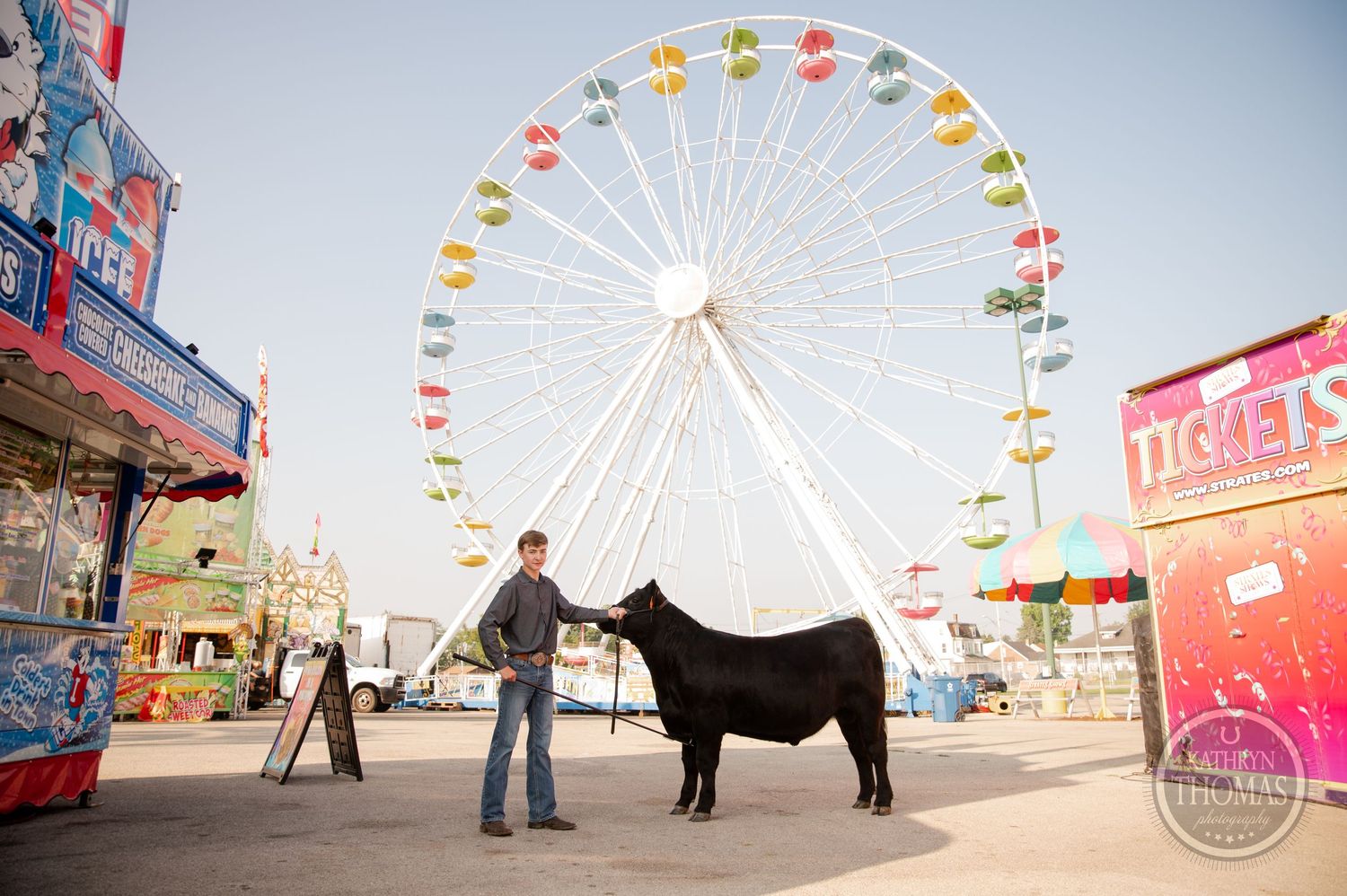 A person shows a black livestock animal in front of a carnival ferris wheel.