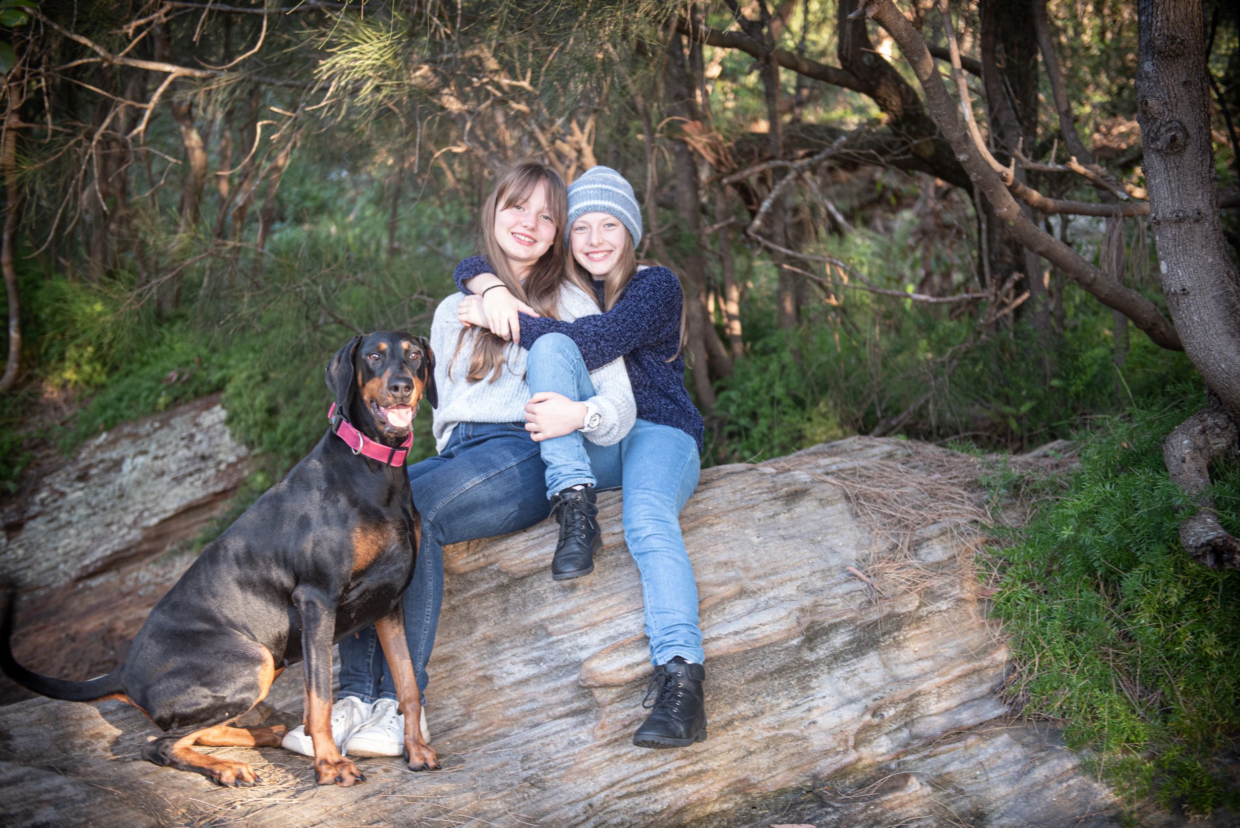 Group sitting on rocky outcrop in nature with dogs beside them.