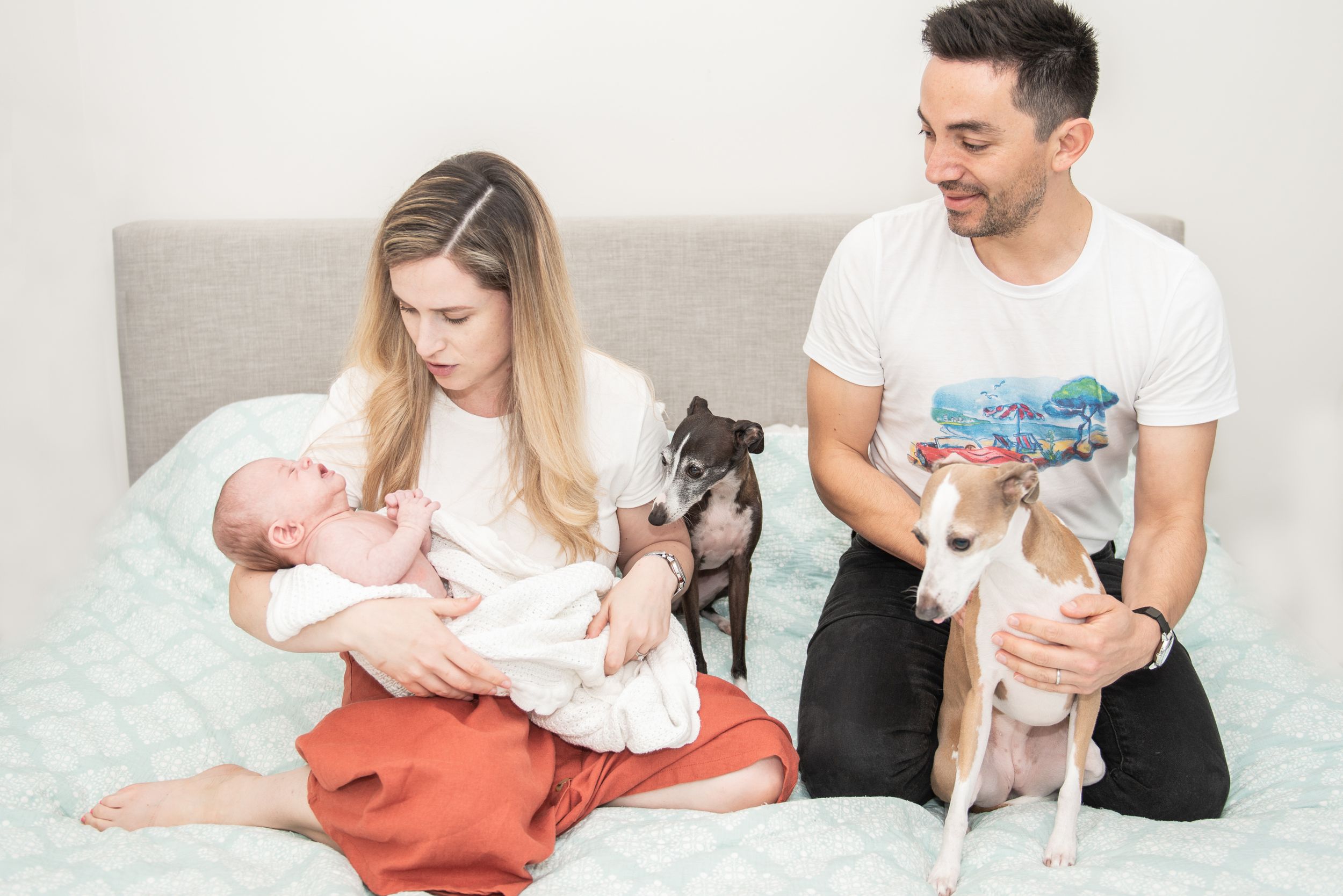 A series of lifestyle photos showing tender moments with a newborn baby and small dog on a light background.