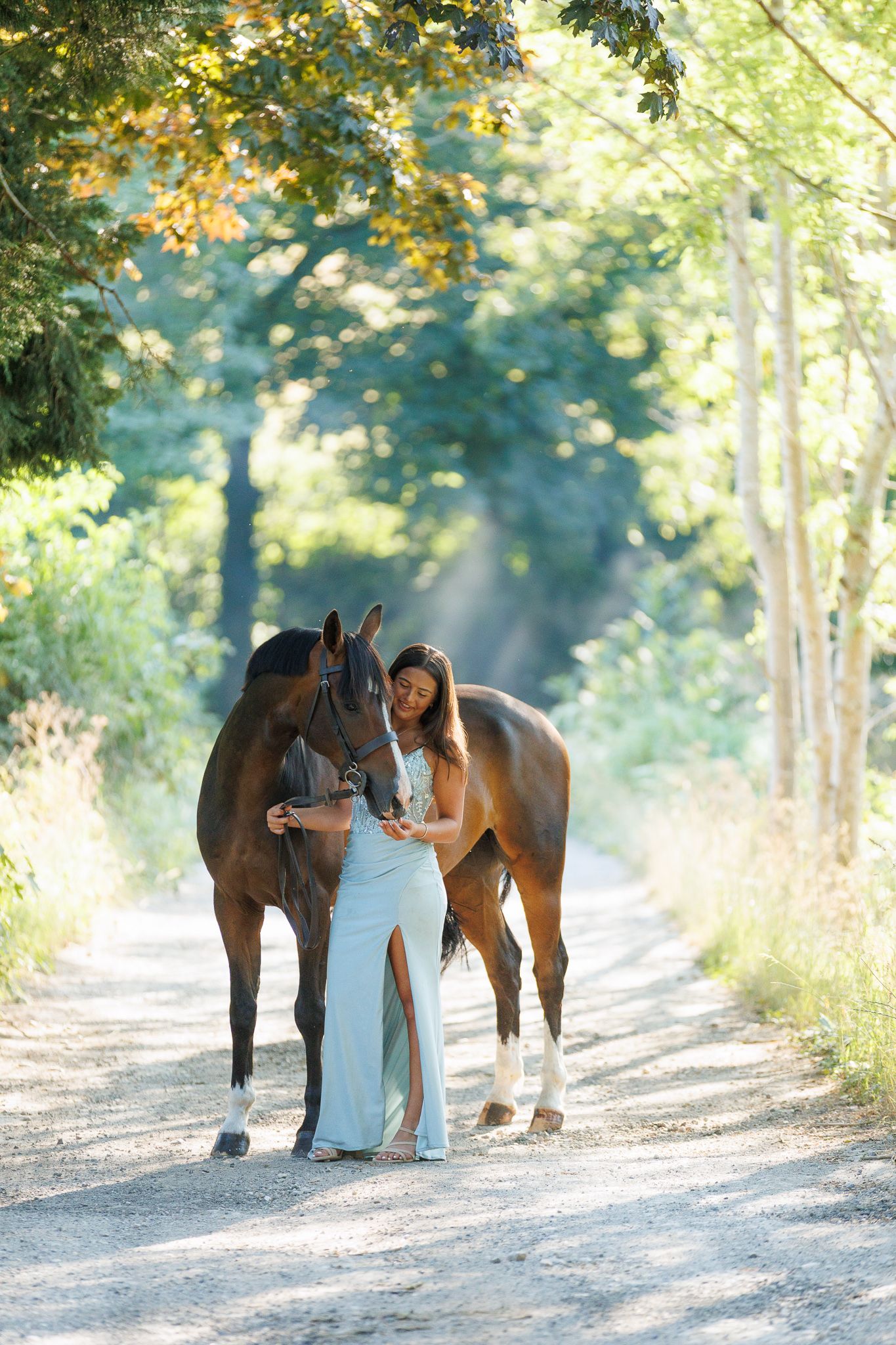 Woman in elegant light blue gown standing with a bay horse on a sunlit tree-lined gravel path.