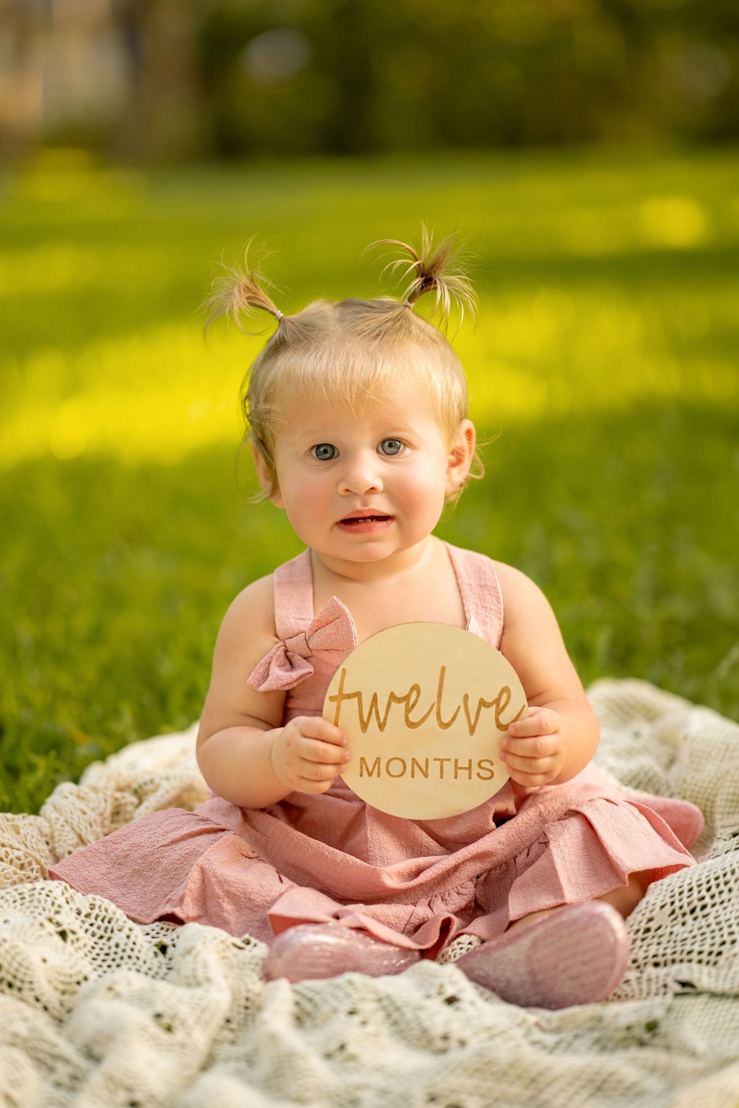 A baby girl in a pink dress holds a wooden twelve months milestone sign while sitting on a blanket in a sunny green park.