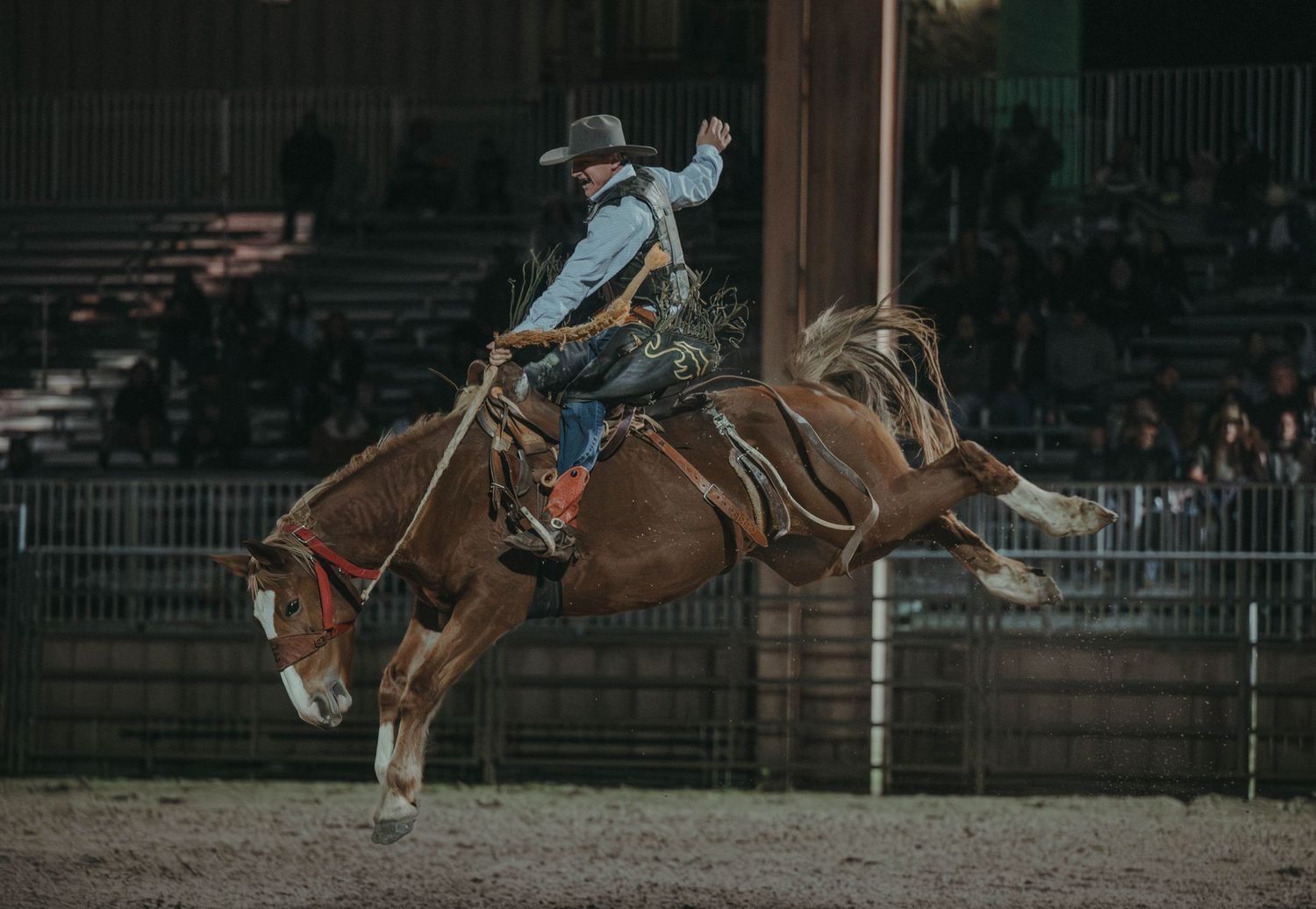 A rodeo competitor rides a bucking bronco in an indoor arena during a nighttime competition.