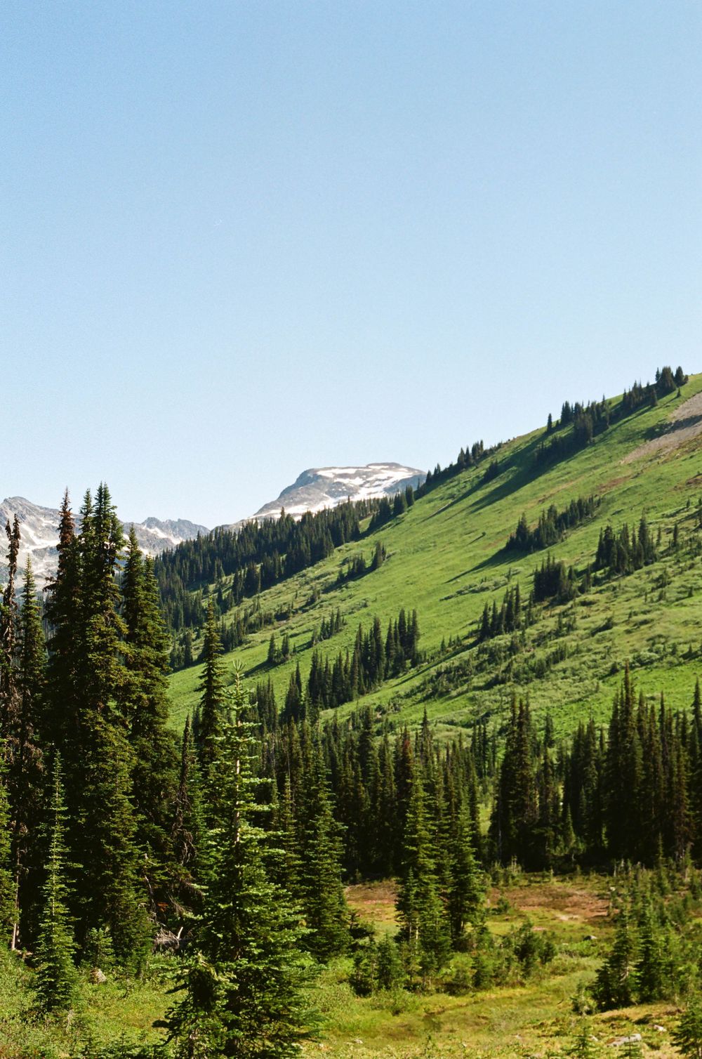 Snow-capped mountain peaks rise above green alpine meadows and evergreen forests.