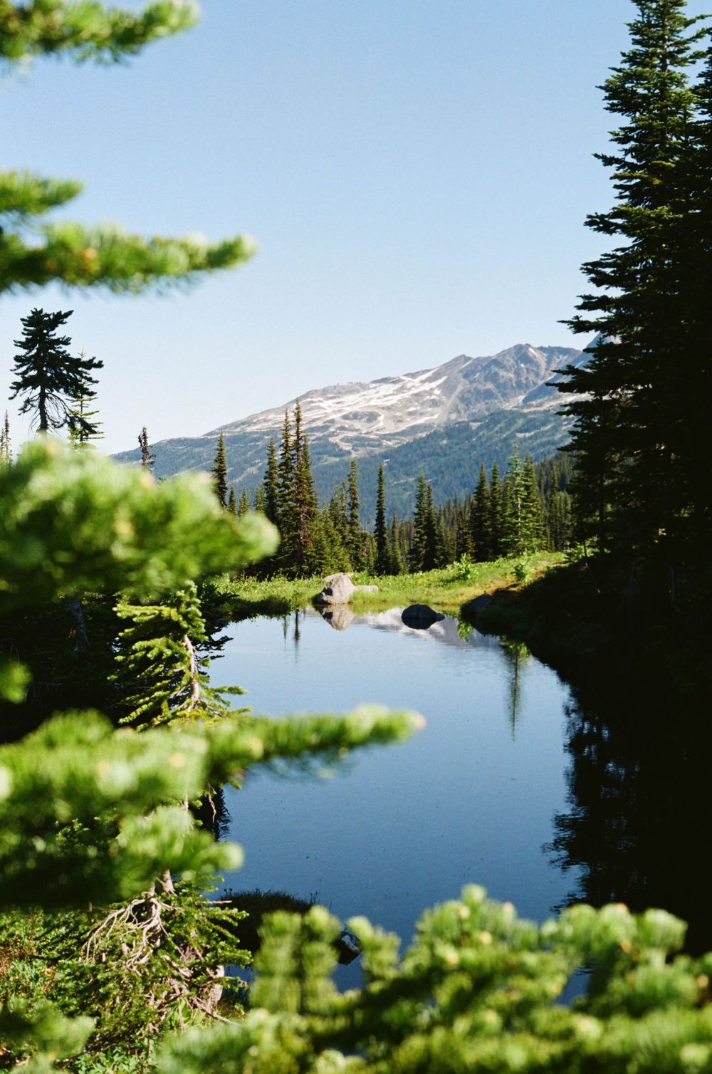 Mirror-like alpine lake reflects evergreen trees and snow-capped mountains under clear blue skies.