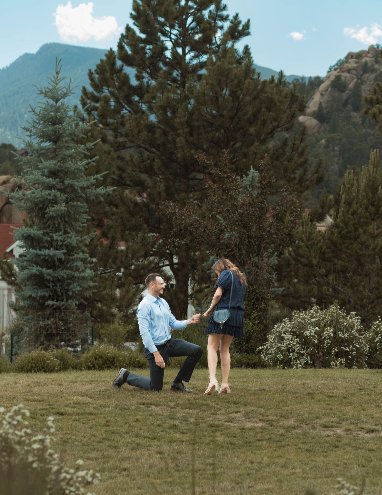 A romantic mountain proposal with a person kneeling on one knee surrounded by evergreen trees.