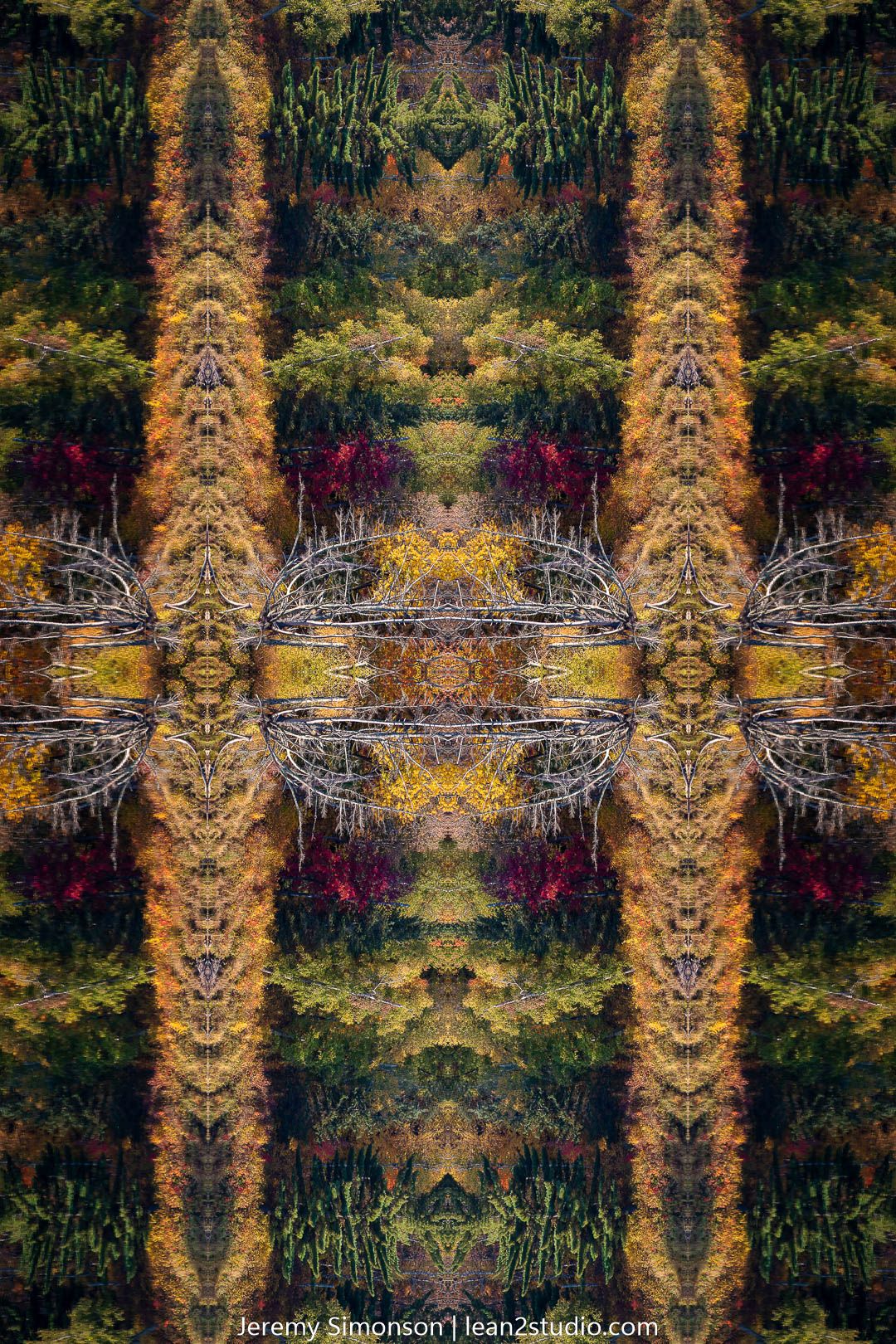 Kaleidoscopic nature pattern with warm autumn colors and vertical symmetry.