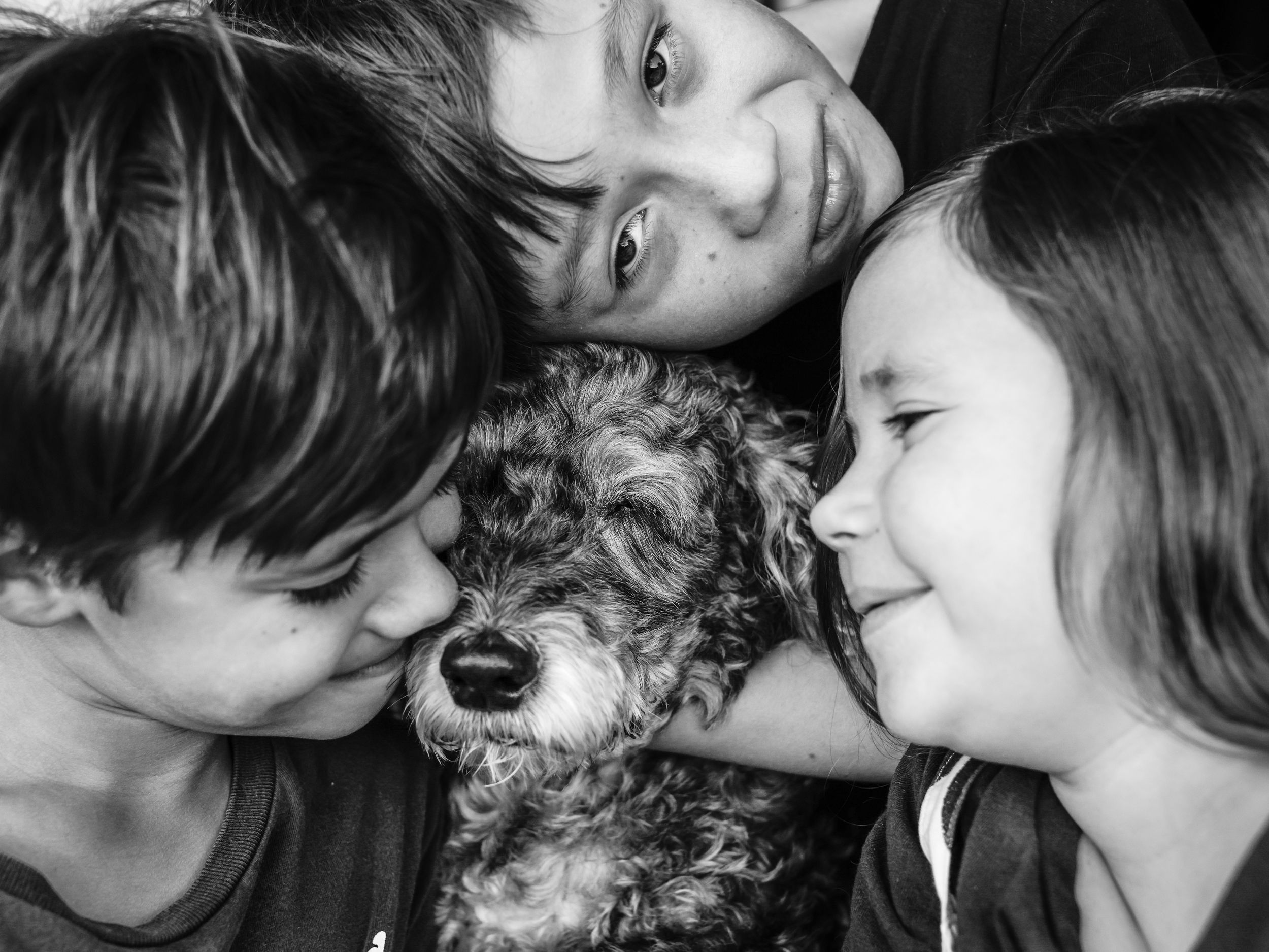 pet and family photographer Brisbane, pets and kids, dog and children, best kid friendly dog breeds, diversity, old dogs