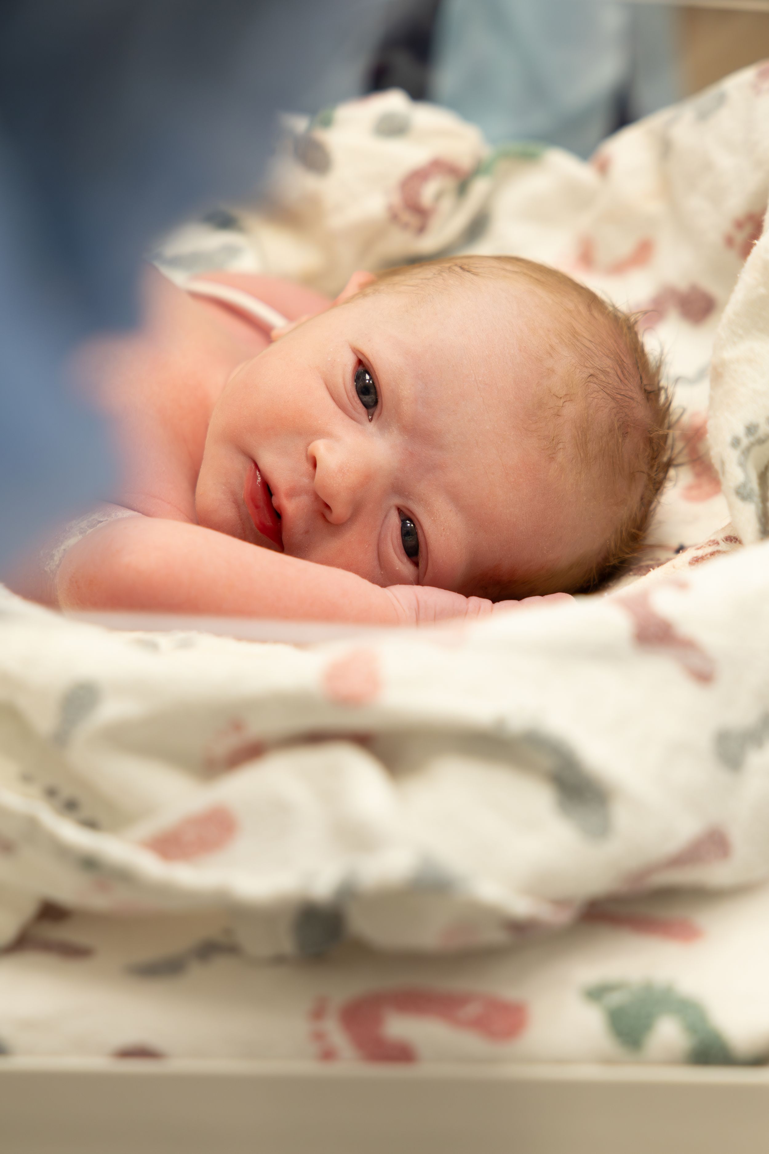 baby photographer in midlothian texas