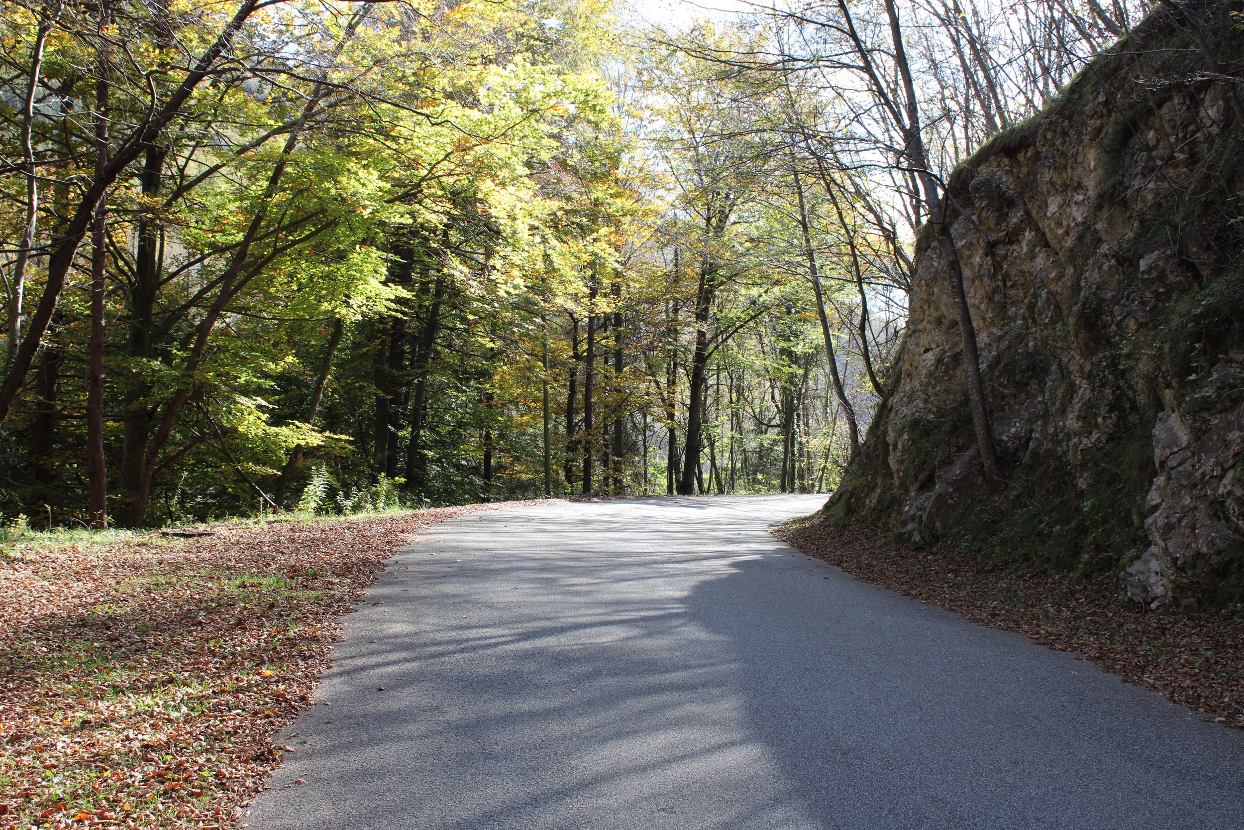 Autumn road in the foothills
