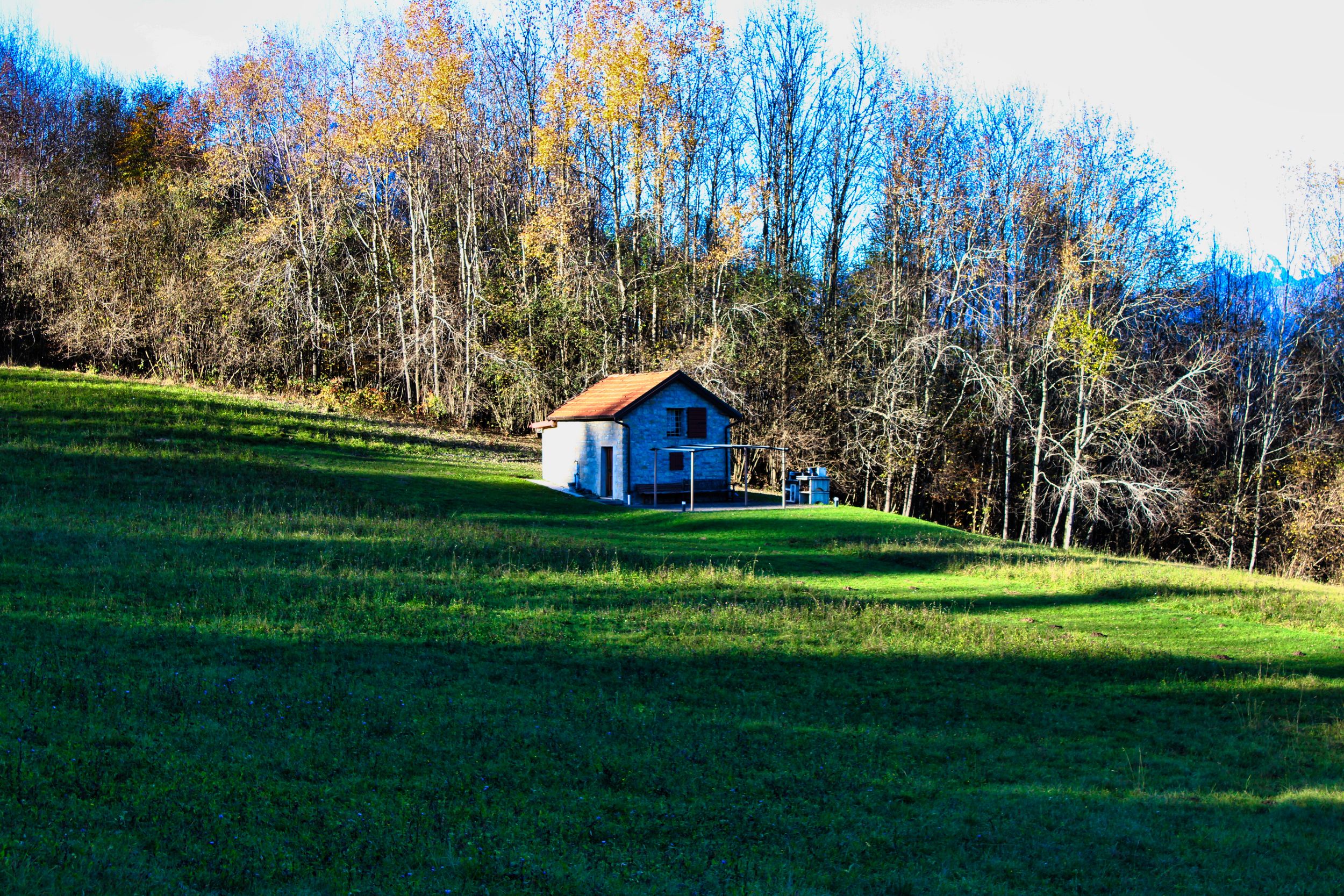 a solitary house