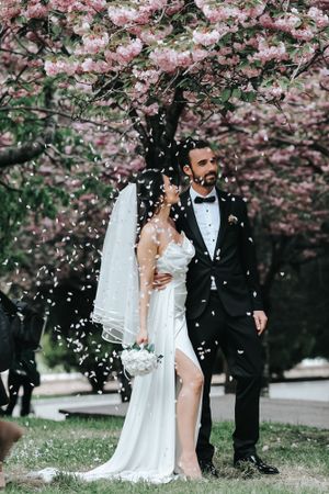 Wedding couple poses beneath cherry blossoms as petals fall around them in spring.