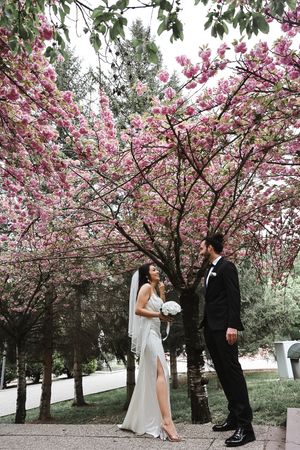 Wedding couple stands beneath flowering pink cherry blossom trees in spring garden setting.