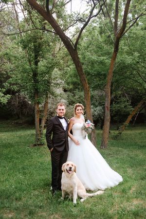 Wedding couple poses with their golden retriever in a lush green outdoor setting.