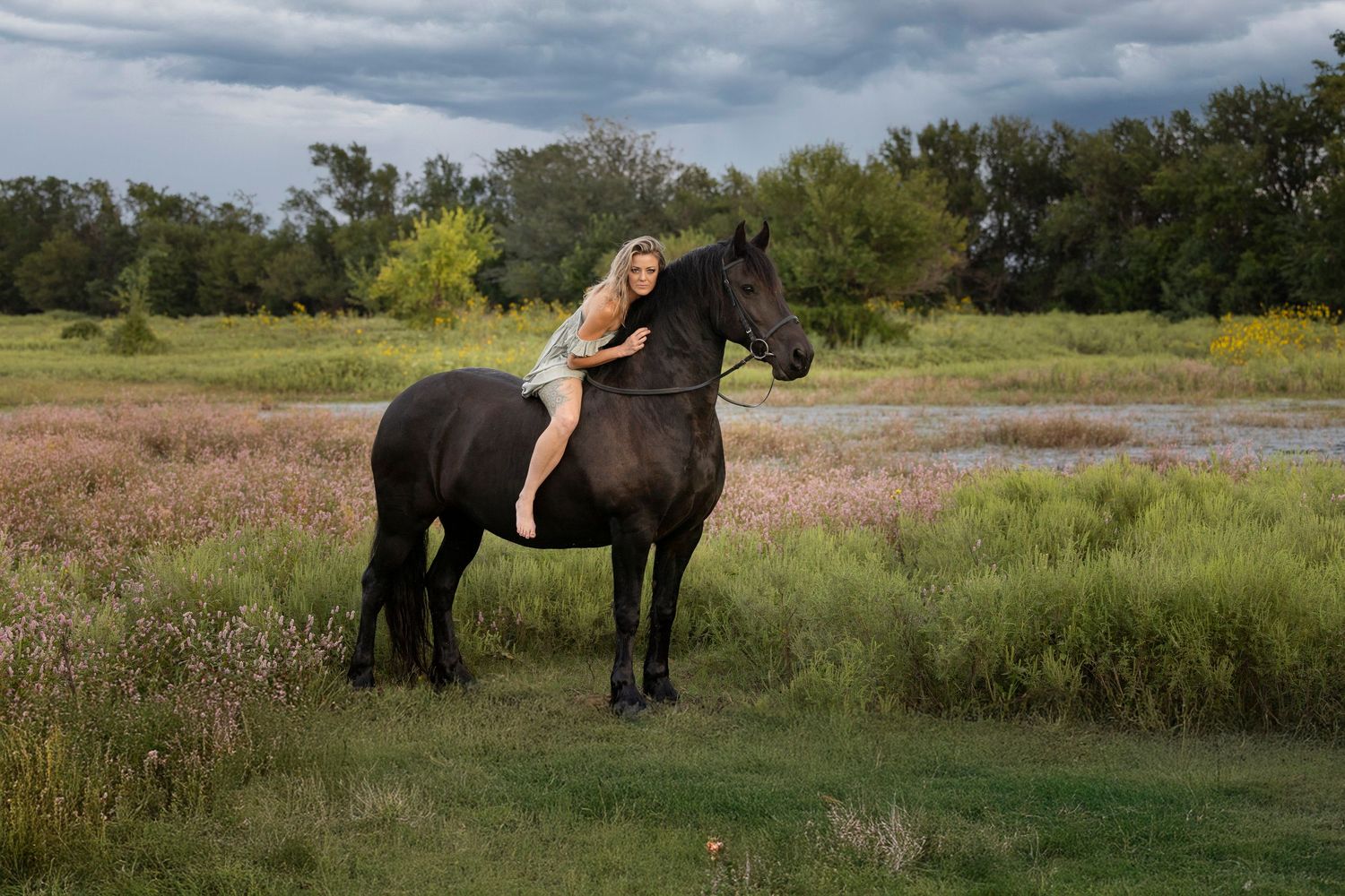 A majestic Freisian horse grazes in a lush green meadow under dramatic cloudy skies.