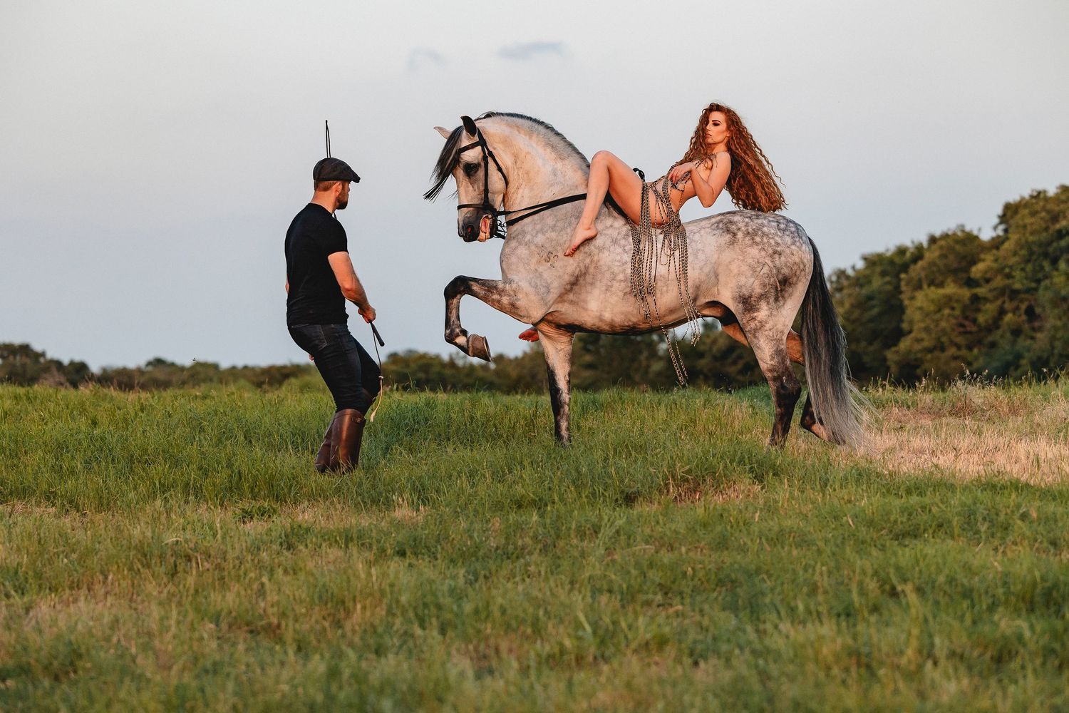 A grey horse stands in a grassy field during a golden hour photoshoot.