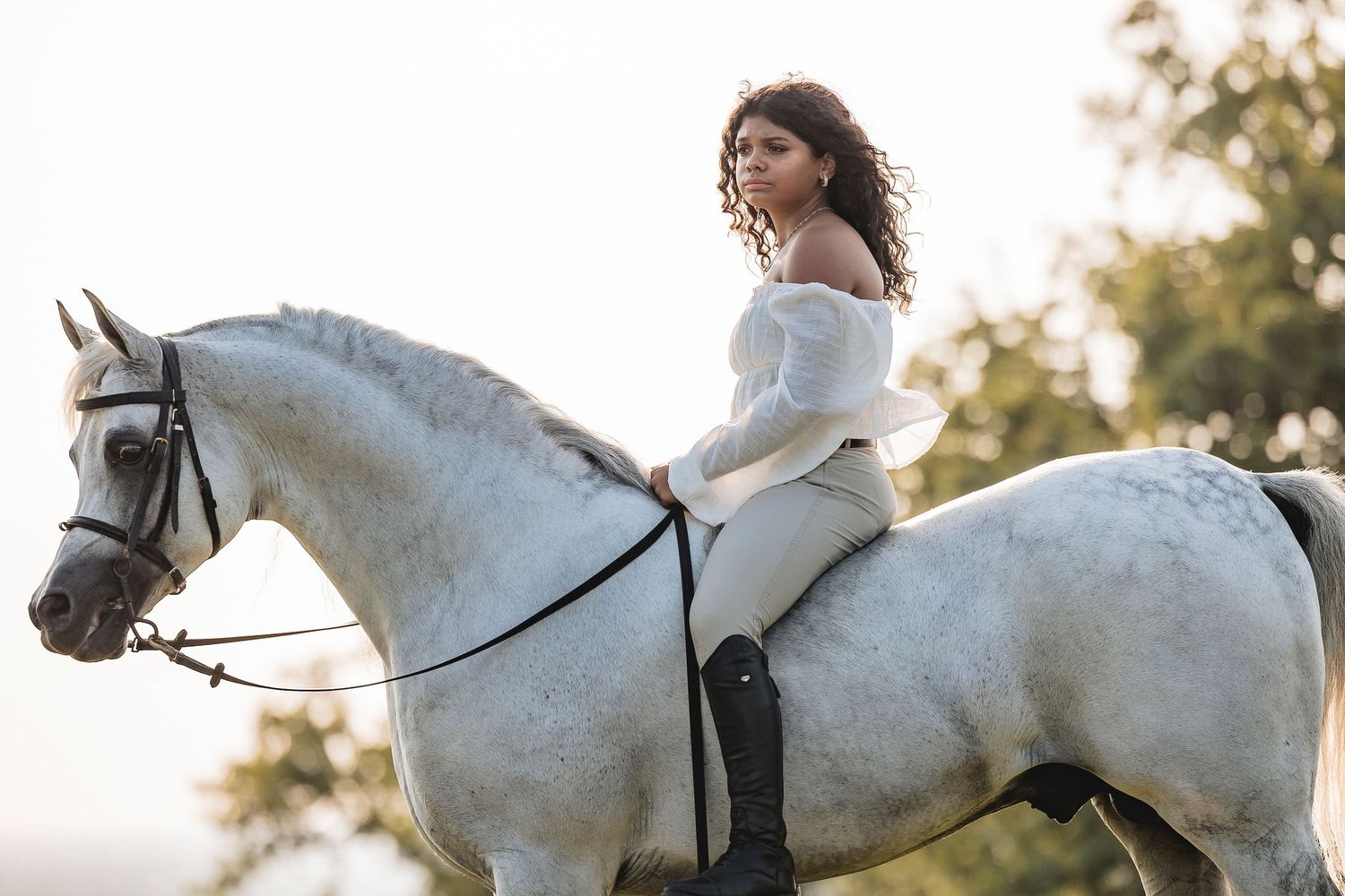 Elegant white horse and rider in silhouette against a bright natural background.