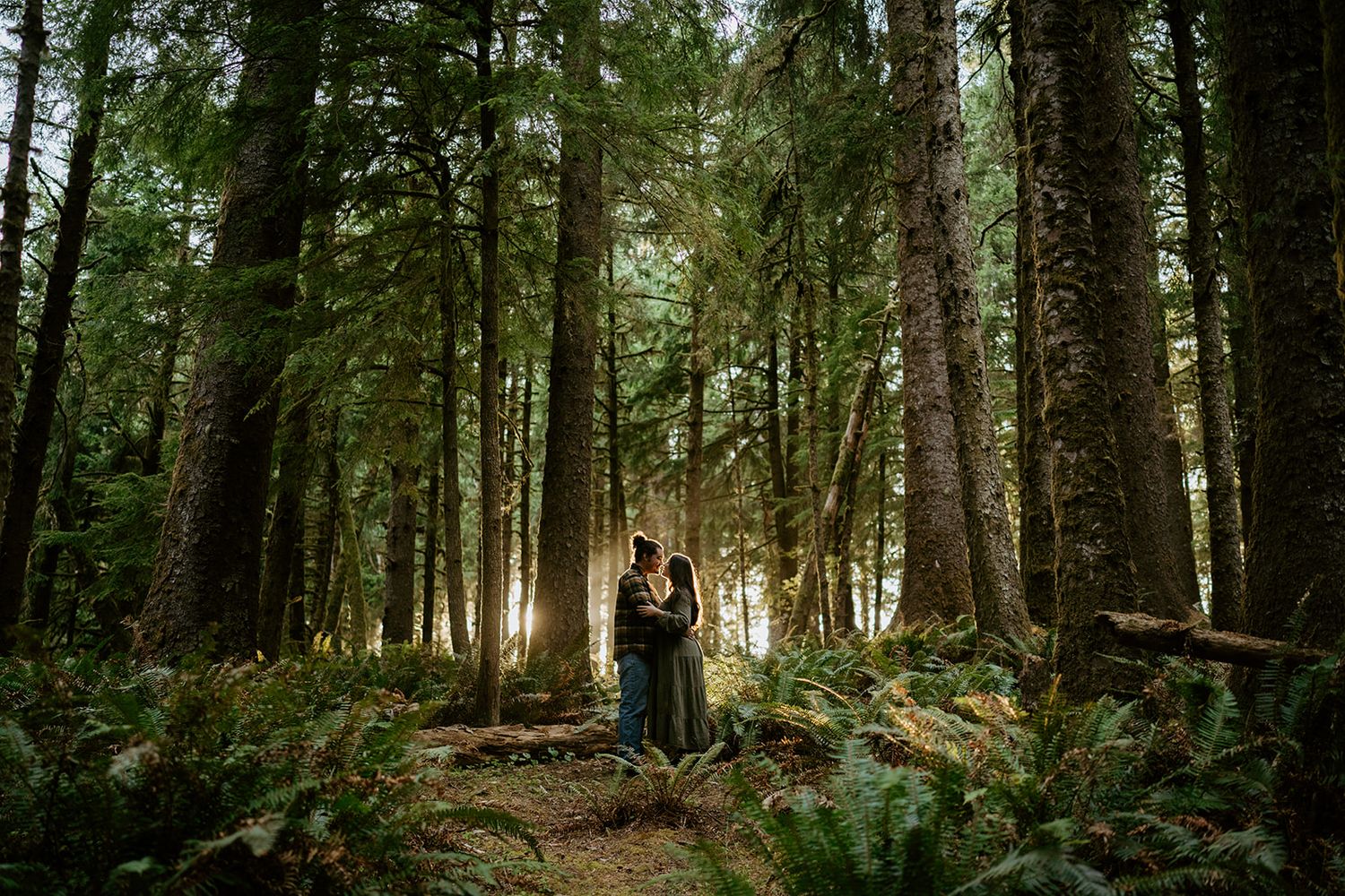 Person standing in sunlit forest with tall evergreen trees creating mystical atmosphere.