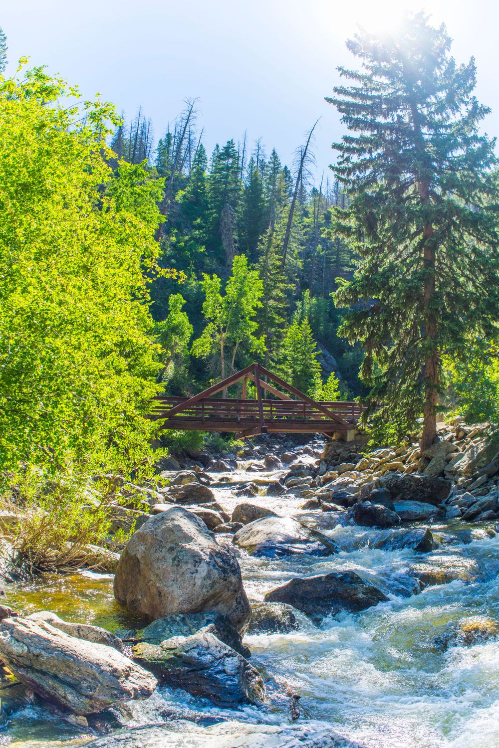 Rustic wooden bridge spans rushing mountain stream surrounded by evergreen and deciduous trees.