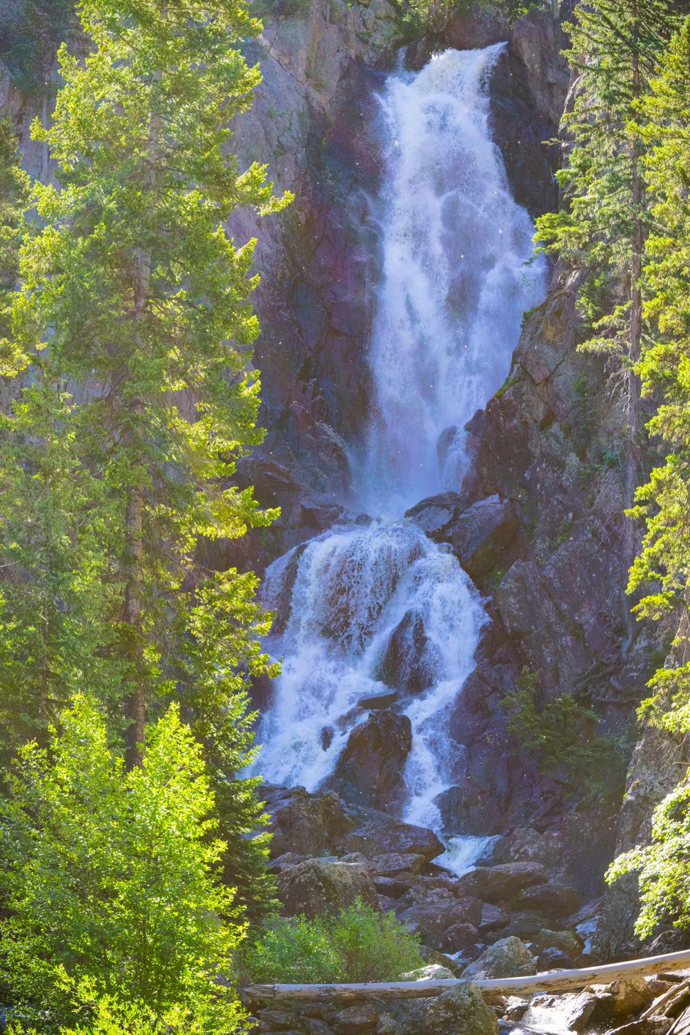 Majestic waterfall tumbling down rocky cliff face framed by green trees.