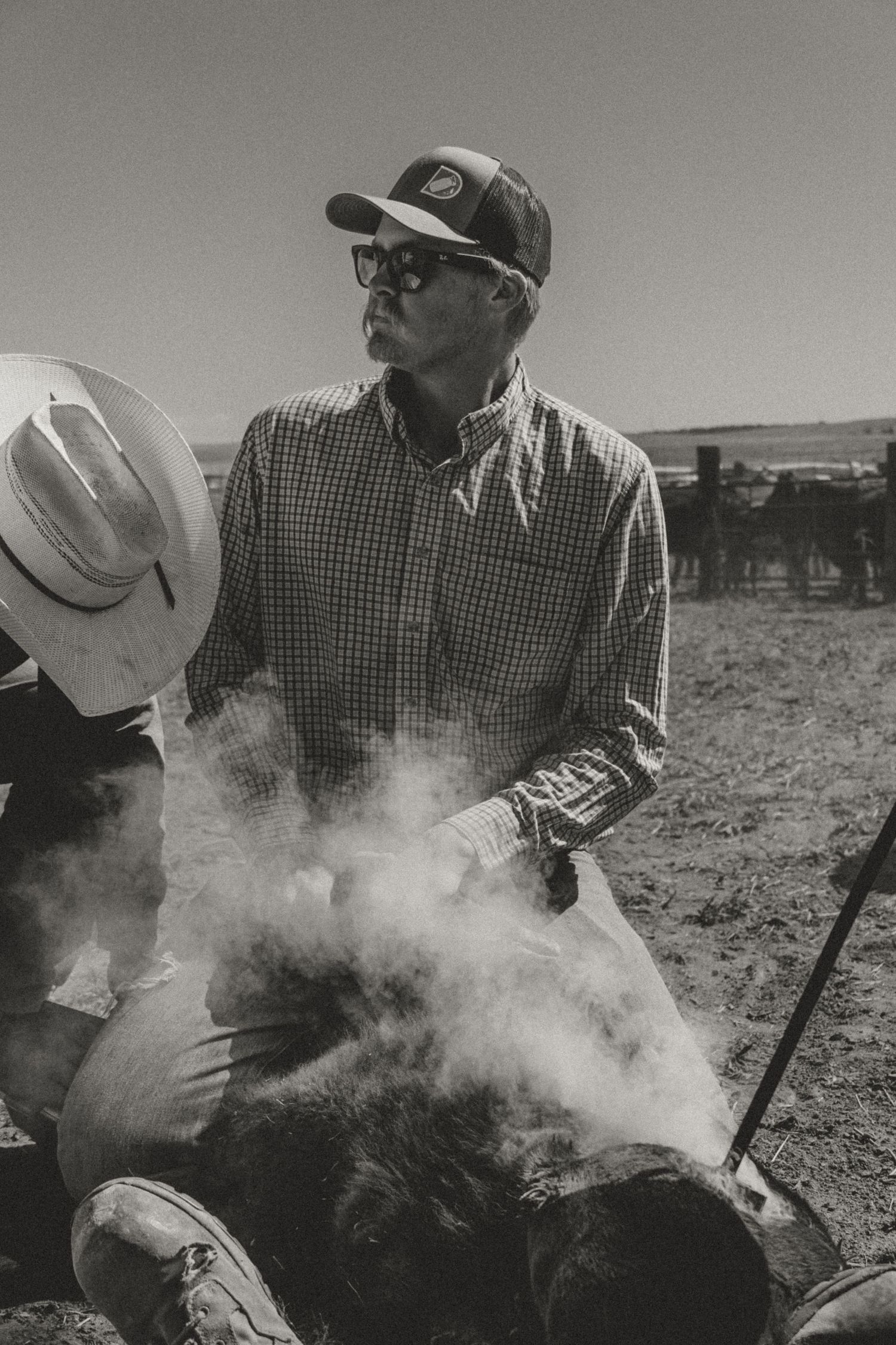 Agriculture photography services.