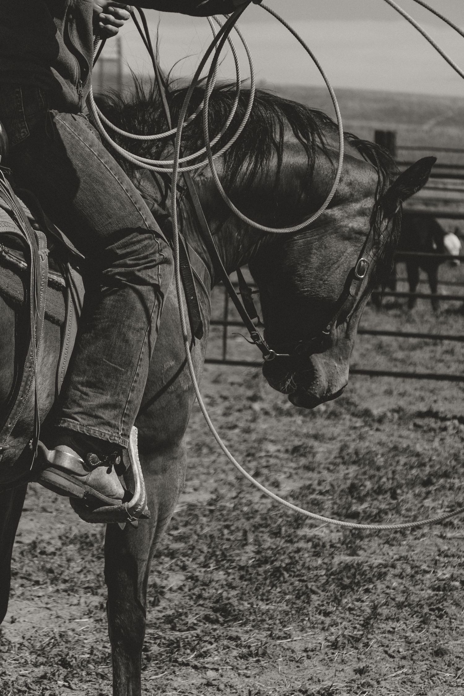 Agriculture photography services.