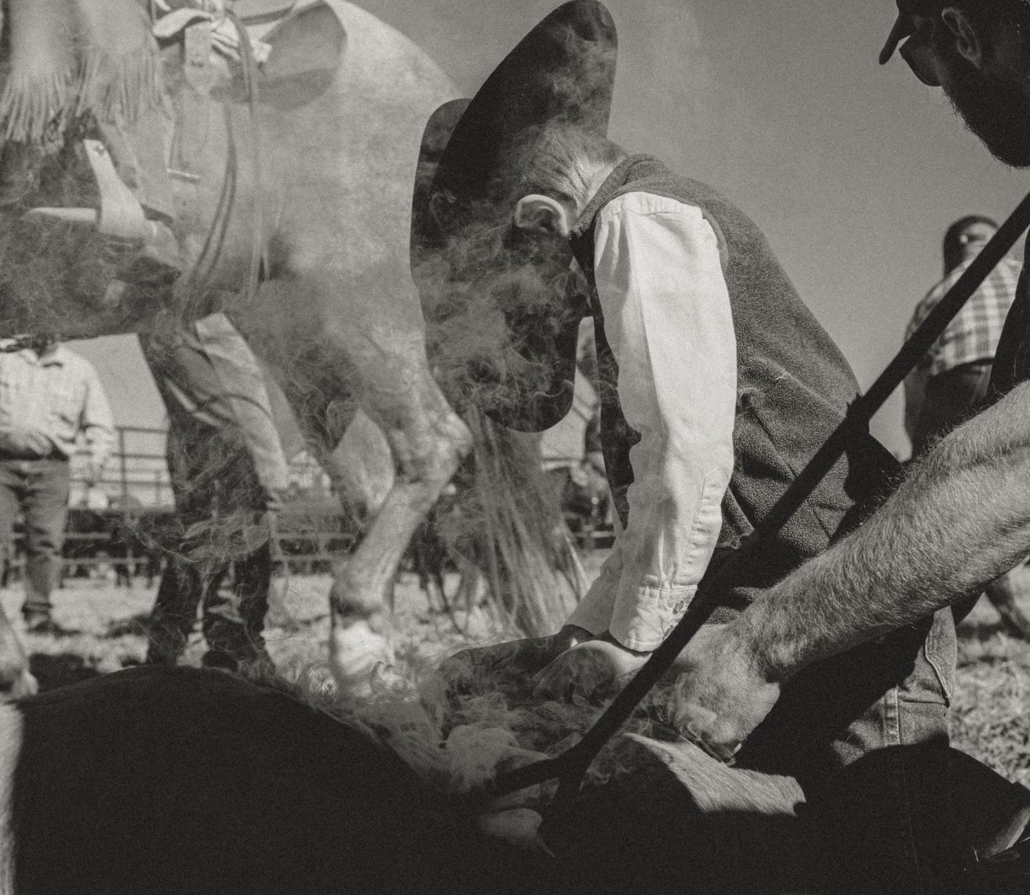 Agriculture photography services.