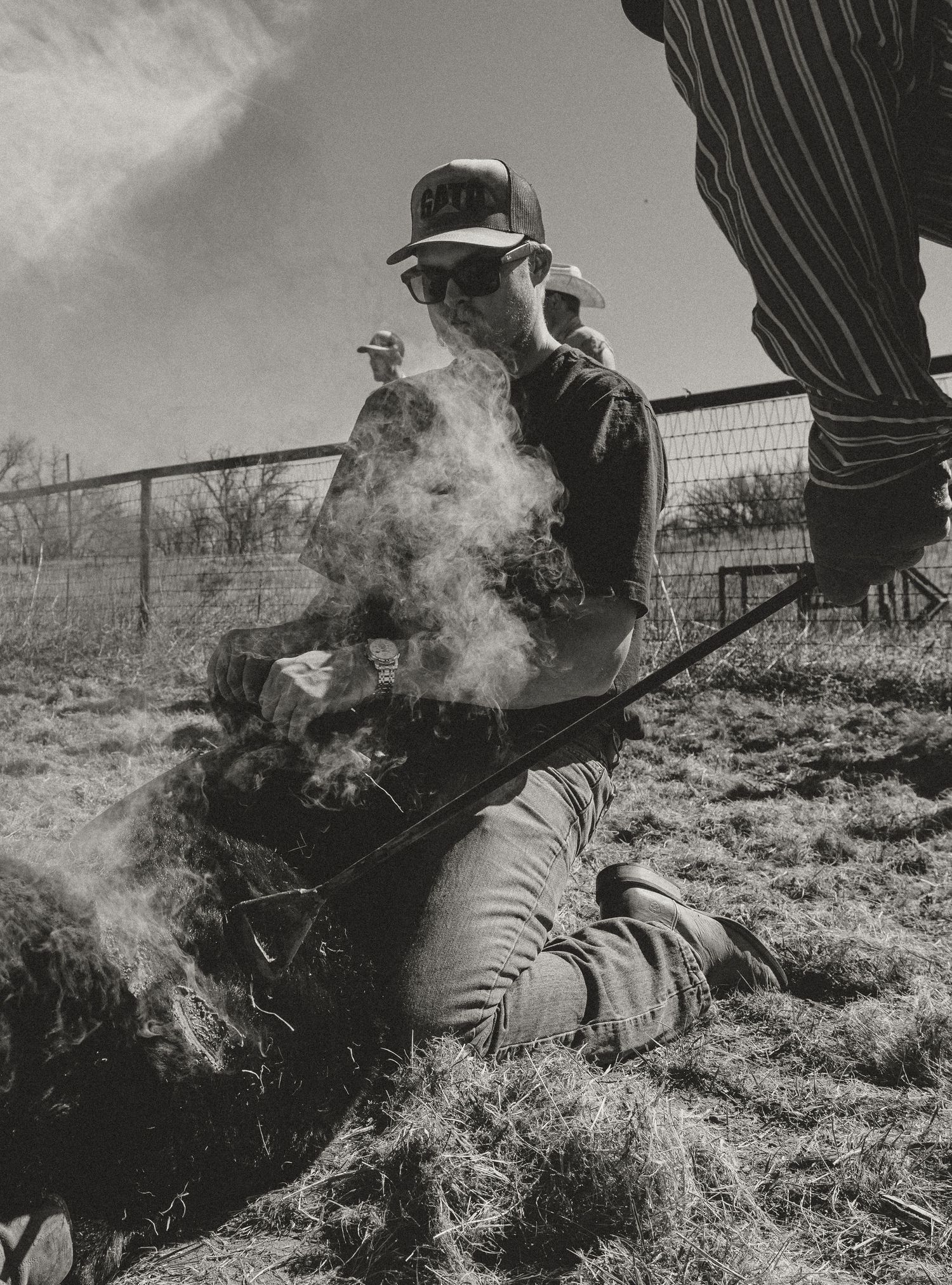 Agriculture photography services.