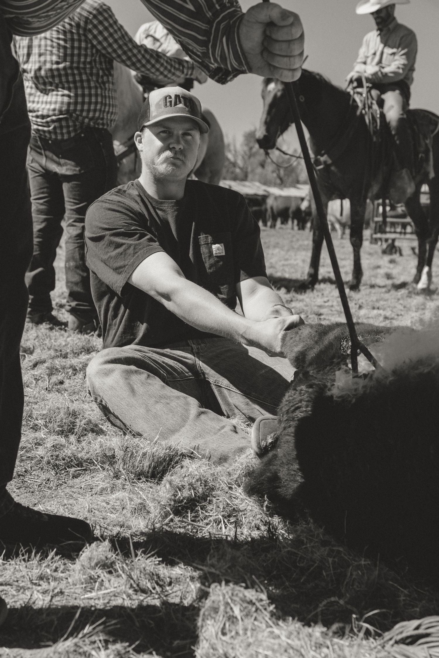 Agriculture photography services.