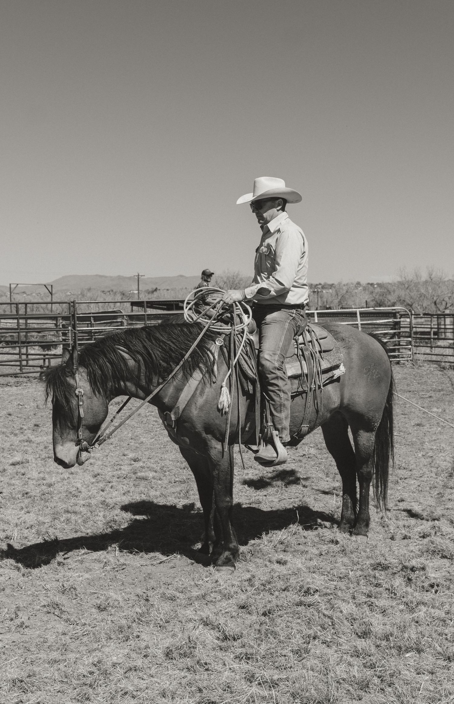 Agriculture photography services.