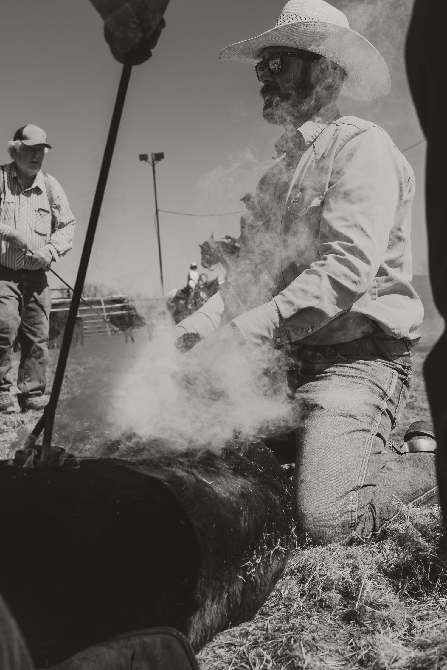 Agriculture photography services.