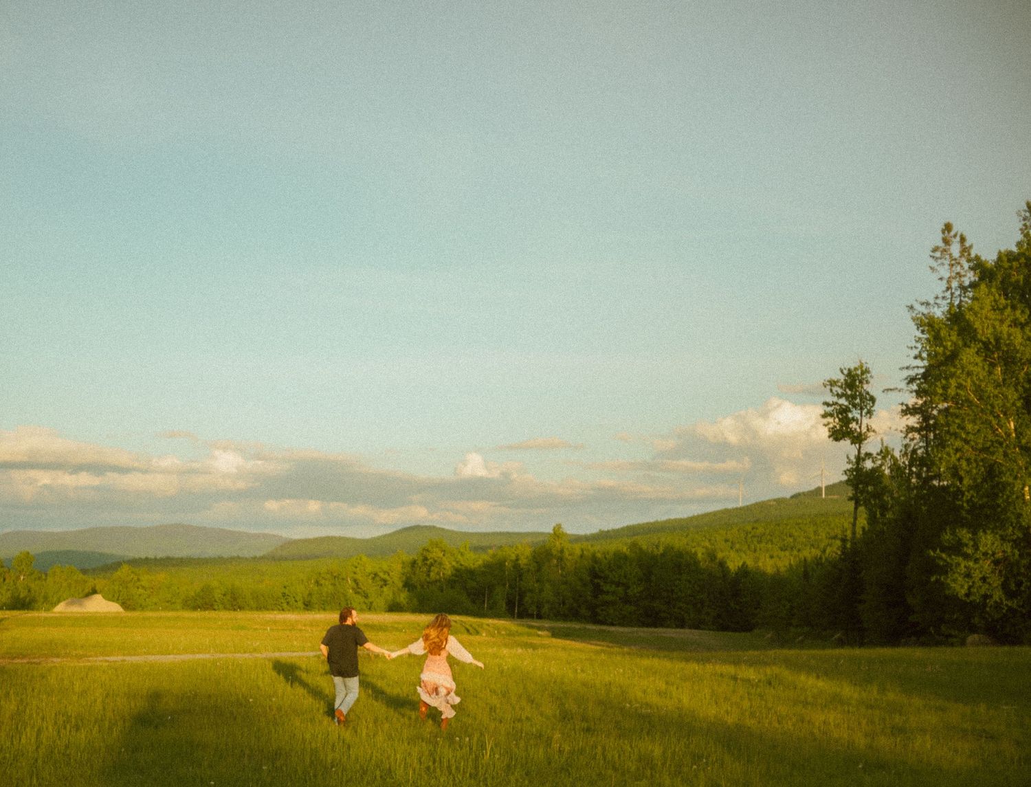 A panoramic view of a meadow with mountains and trees in the distance.