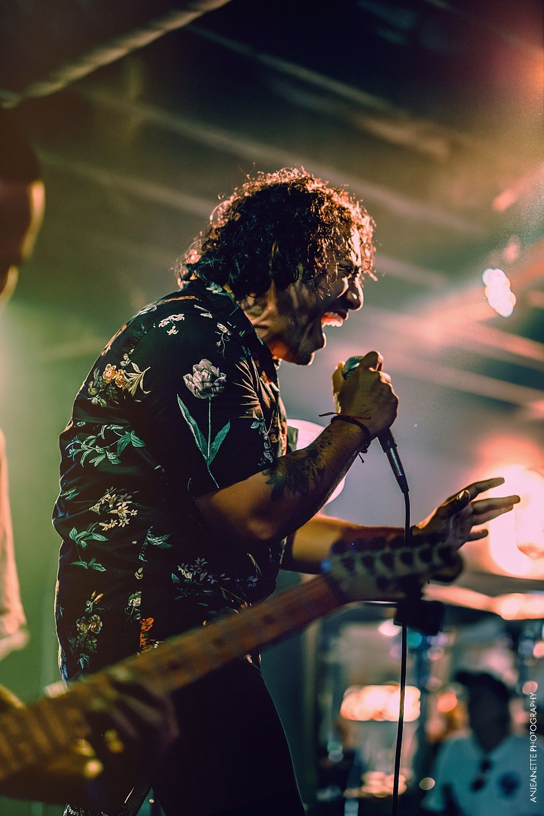 top 10 best Phoenix Concert Photographer Anjeanette Photography live music, media, band portraits, gigs arizona info@anjeanette.photography