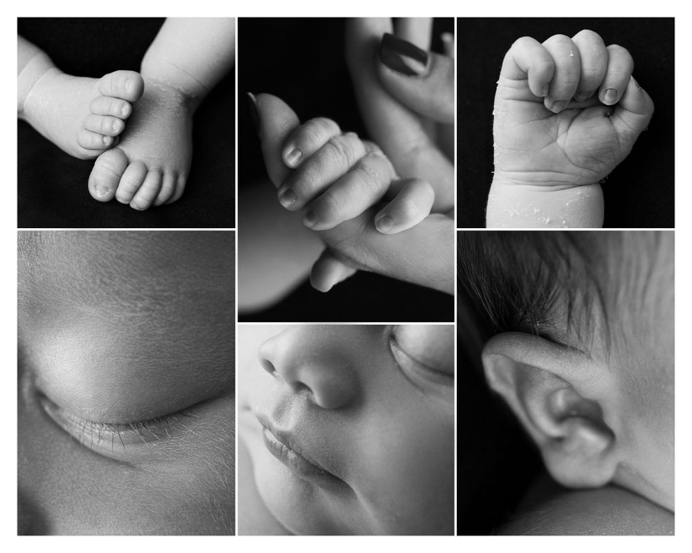 Black and white collage of newborn baby details showing tiny hands, feet, ear, and other features.