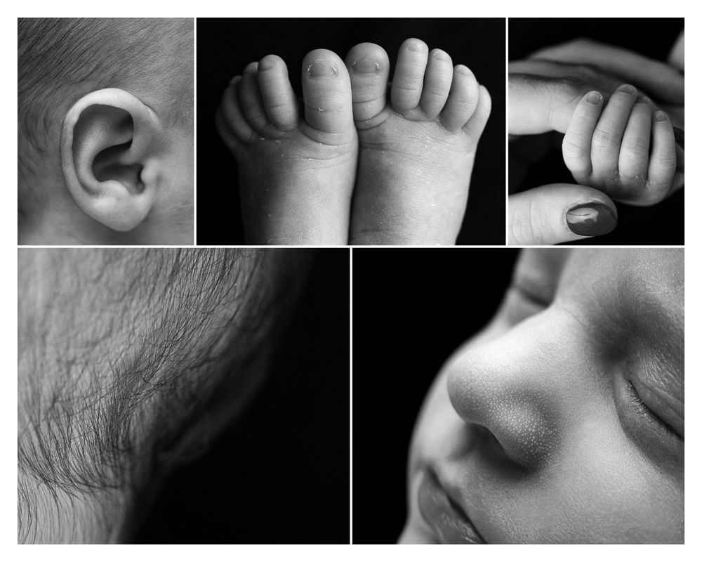 Close-up black and white macro photographs of human body parts showing ears, noses, and facial features in abstract detail.