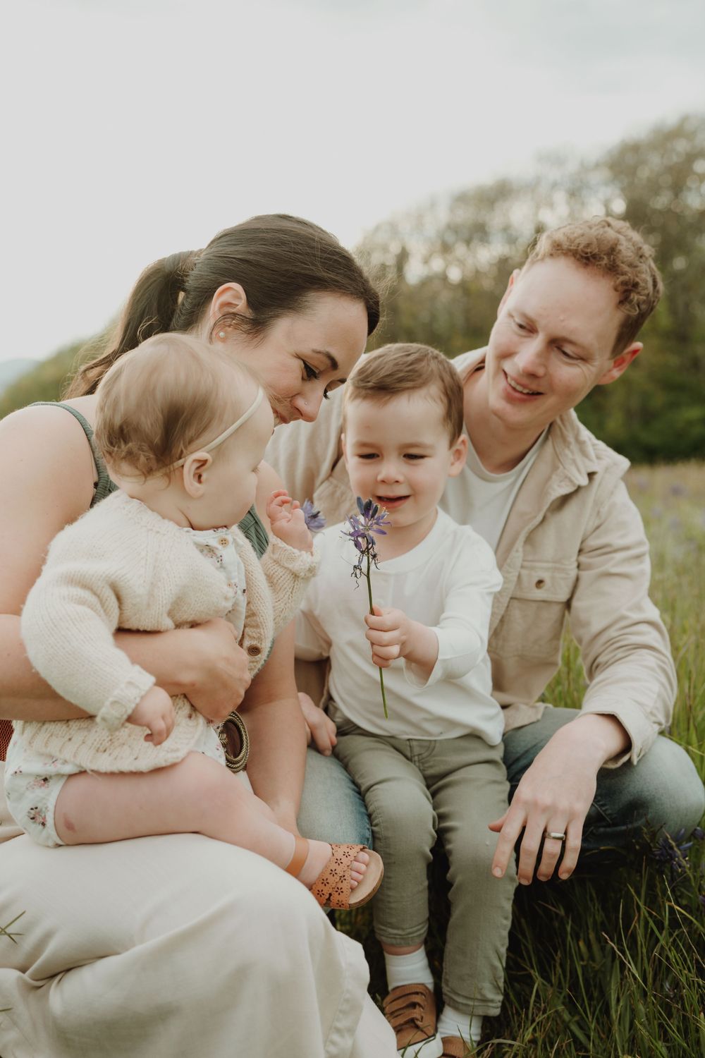 Young family of four sits in blooming field as toddler son offers purple wildflower to baby sister. Victoria, BC, Vancouver Island.